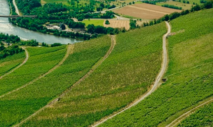 Old World – New World 2