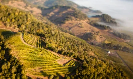 Geology —California Wines