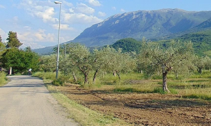Montepulciano D’Abruzzo