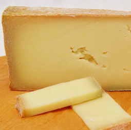 Fontina