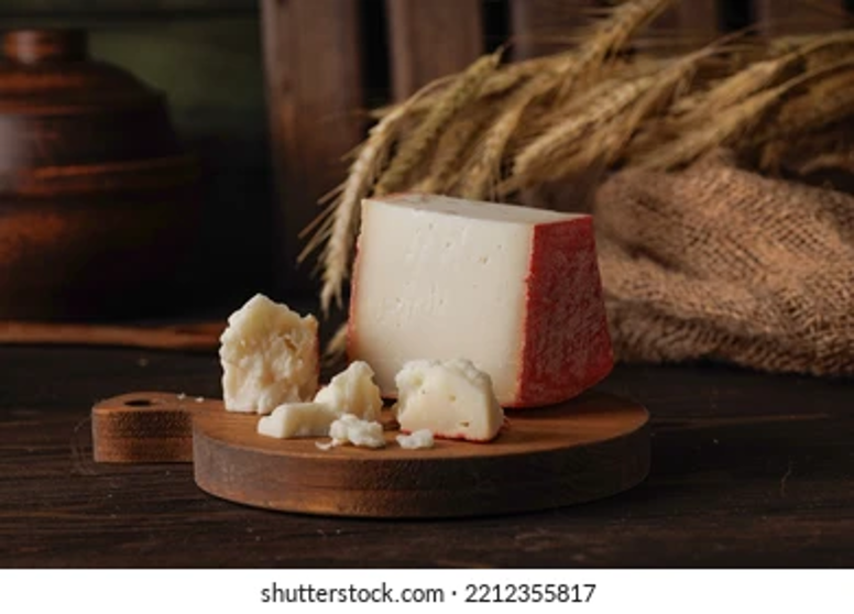Fontina