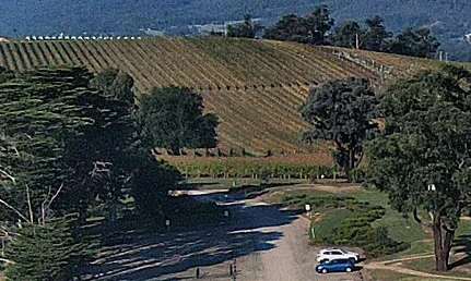australian-wine-featured