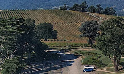 Australian Red Wines