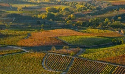Rioja-Featured