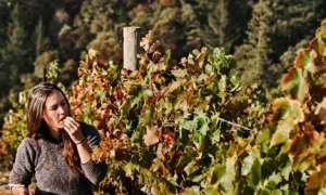 Woman Sampling California red wine grapes