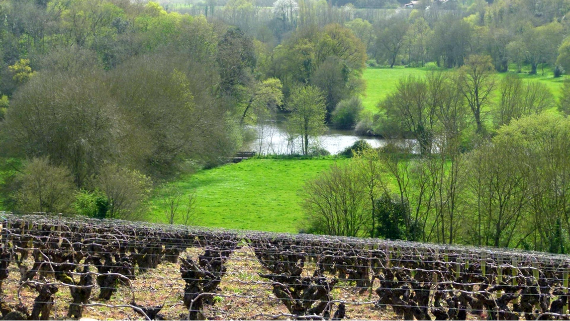 Confluence of Sevre and Maine Rivers
