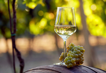goblet of white wine with grapes on a barrel