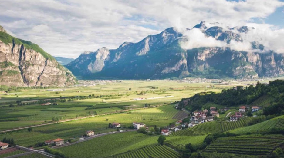 vinyard valley and mountains of the alto Adige region