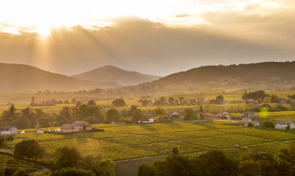 Beaujolais – Episode Two