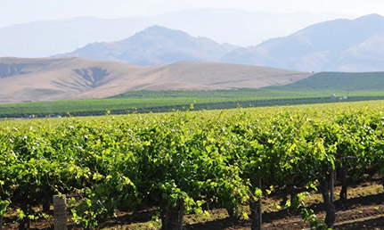 Old World – New World 1