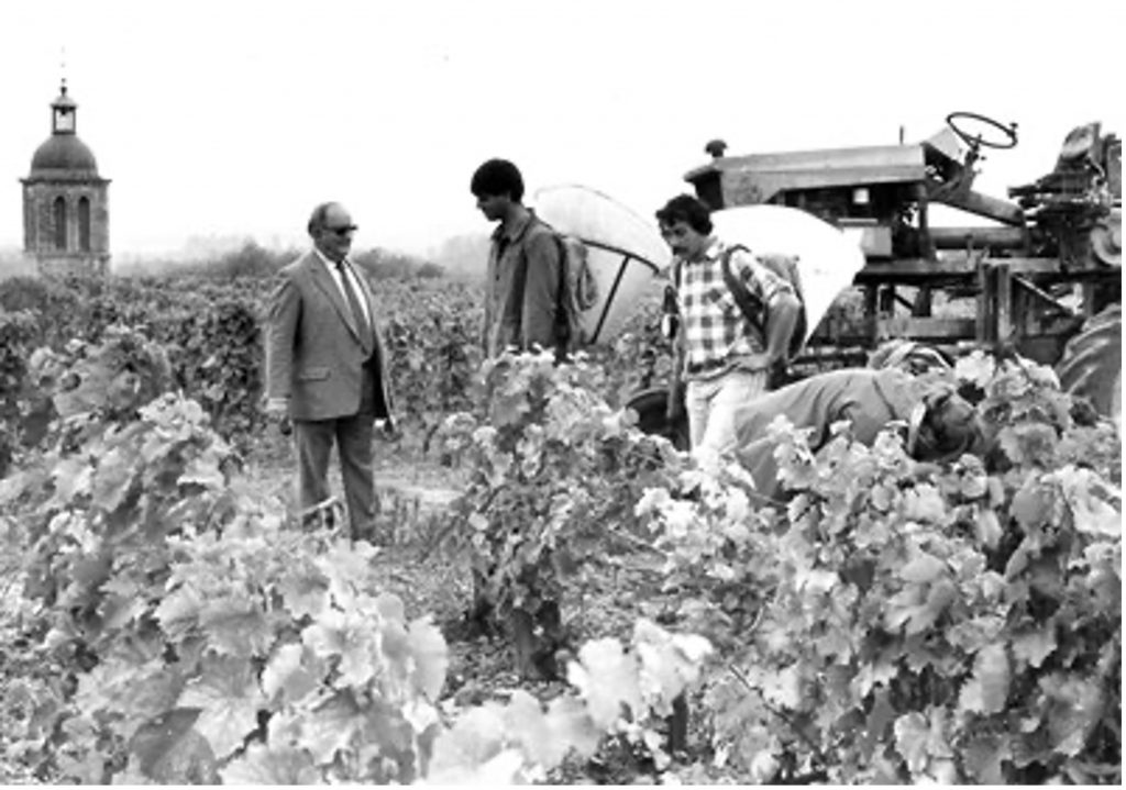vintage image of domaine huet vineyard.